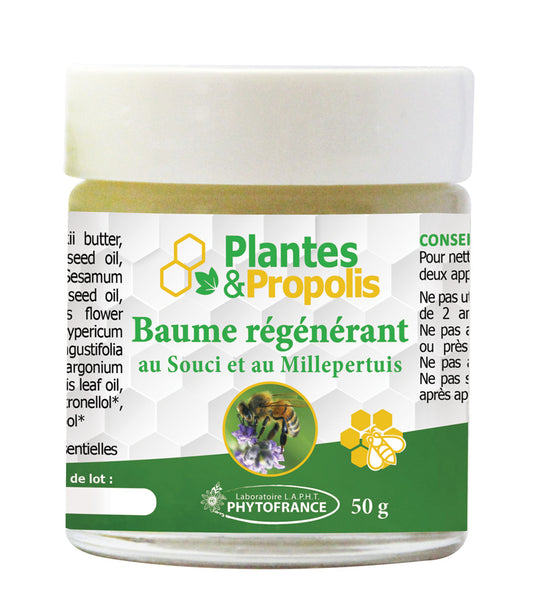 Baume Régénérant au Souci et Millepertuis 50g