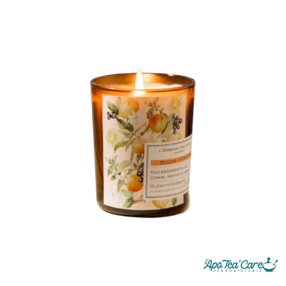 Bougie Vitalité Soleil de Méditerranée 180G L'Essence des Notes