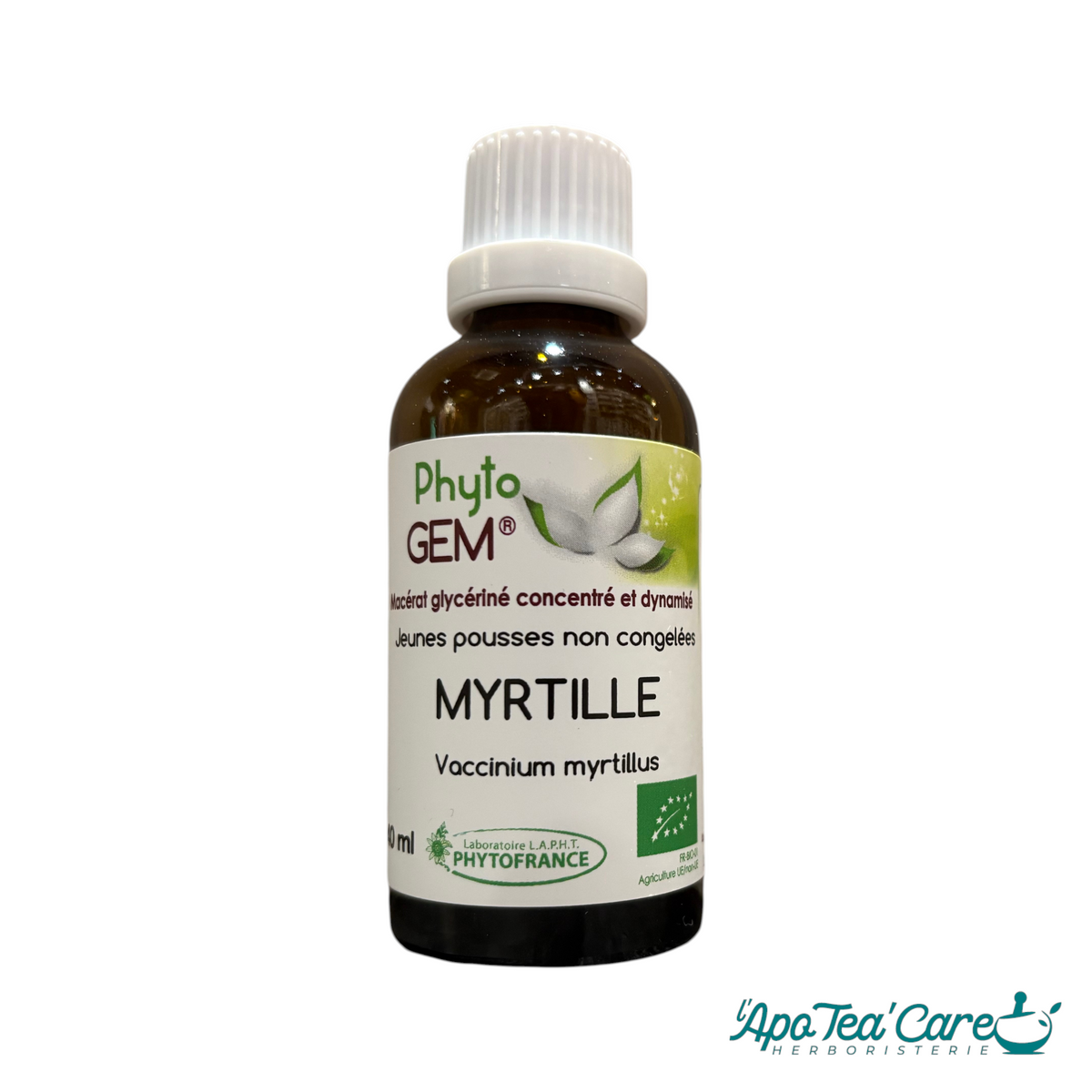 Macérat Phyto'gem Concentré de Bourgeons de Myrtille BIO 40ml – PhytoFrance