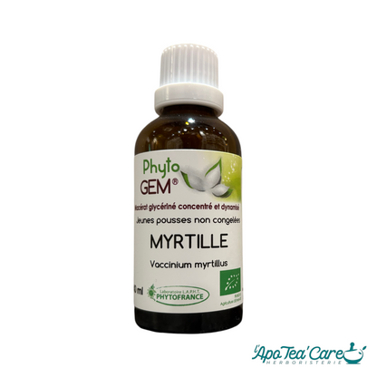 Macérat Phyto'gem Concentré de Bourgeons de Myrtille BIO 40ml – PhytoFrance