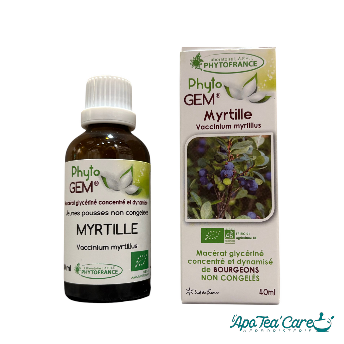Macérat Phyto'gem Concentré de Bourgeons de Myrtille BIO 40ml – PhytoFrance