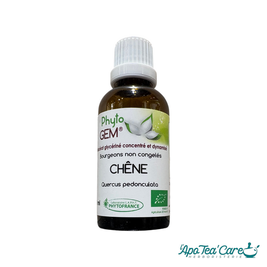 Macérat Phyto'gem Concentré de Bourgeons de Chêne BIO 40ml — PhytoFrance