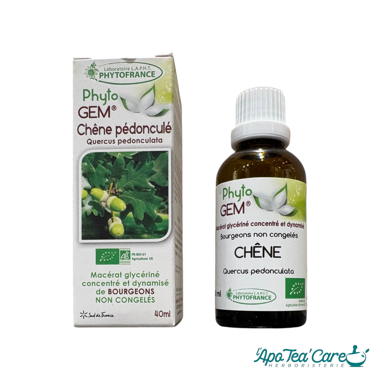 Macérat Phyto'gem Concentré de Bourgeons de Chêne BIO 40ml — PhytoFrance