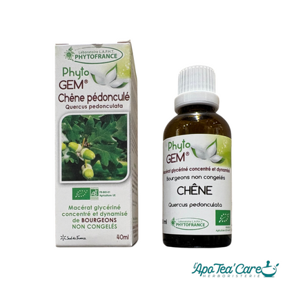 Macérat Phyto'gem Concentré de Bourgeons de Chêne BIO 40ml — PhytoFrance