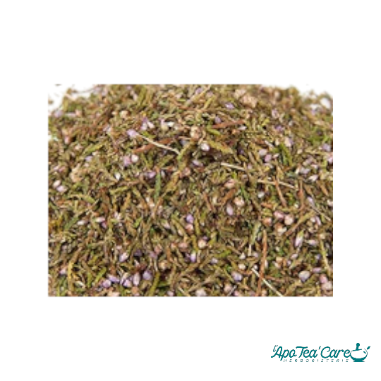 Bruyere Cendrée Som. Fleur BIO