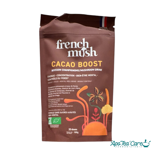 Cacao Boost Boisson Bio 20 Doses -