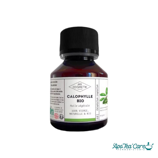 Huile de calophylle BIO