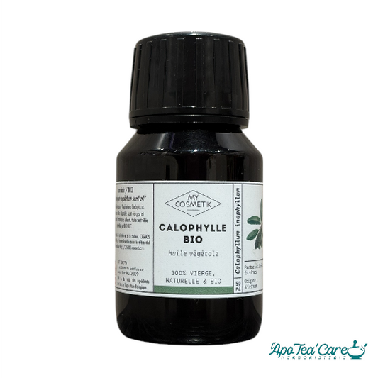 Huile de Calophylle BIO