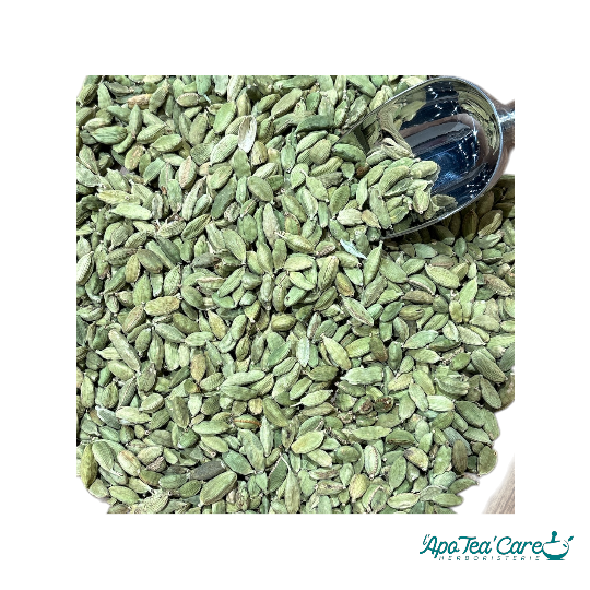 Cardamome Fruit - Digestion et Saveur