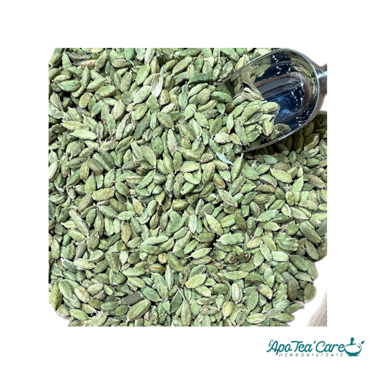 Cardamome Fruit - Digestion et Saveur