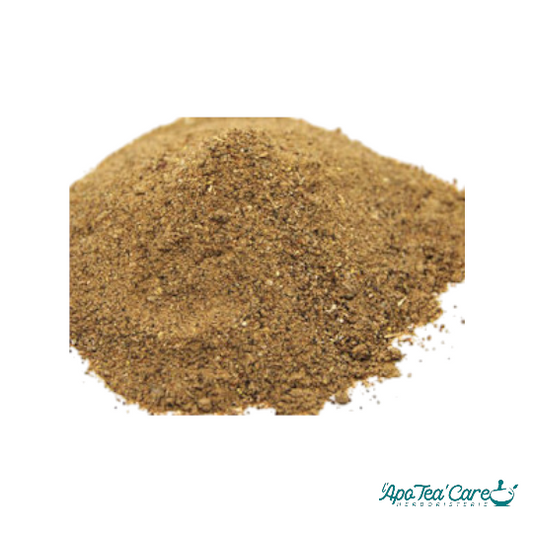 Caroubier Fruit Poudre Alternative Naturelle au Cacao