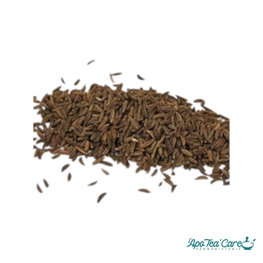 Carvi Noir Fruit France