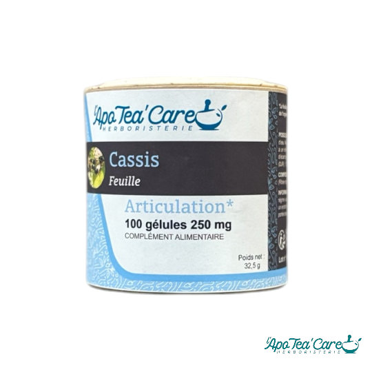 Cassis Feuille 100 gélules 250 mg
