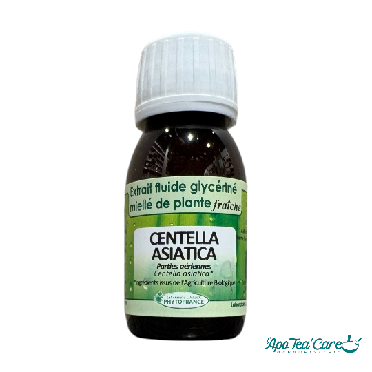 Extrait fluide glycériné miellé de plante fraîche Centella Asiatica herboristerie perpignan claira