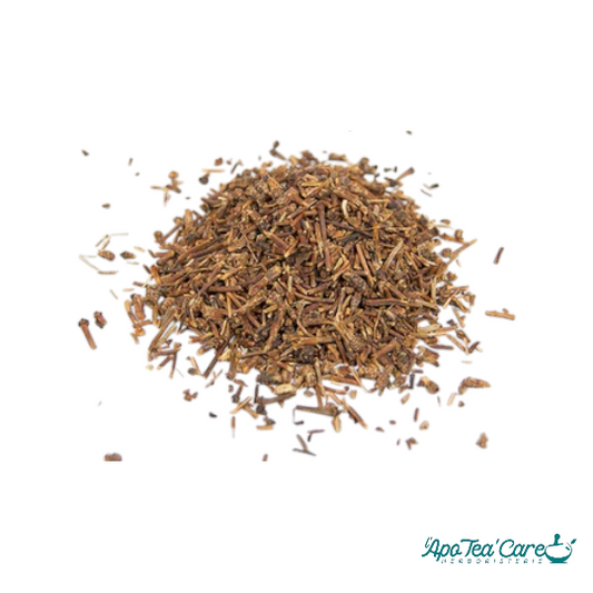 Cerise Pédoncule Fructifère Rouge Coupée