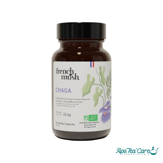 Gélules Chaga