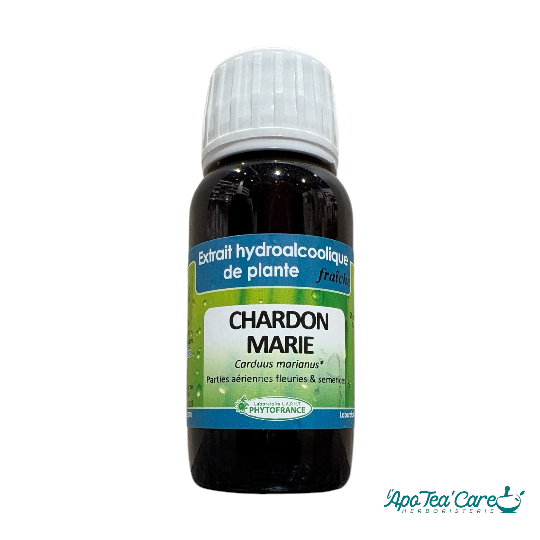 Extrait hydroalcoolique Chardon Marie bio 60ml PhytoFrance –  confort digestif L'ApoTea'Care Herboristerie