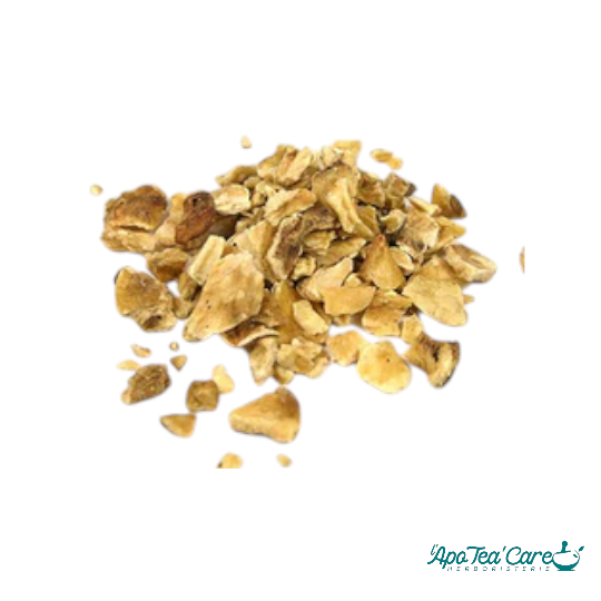 Chicorée Racine Coupée France