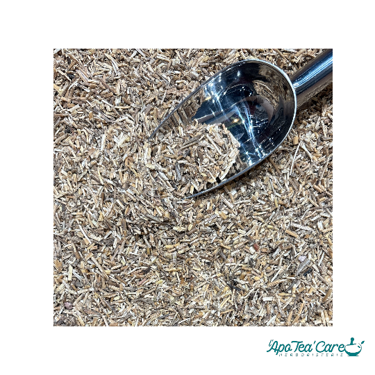 Chiendent Bio Rhizome Coupé - Drainage et Voies Urinaires