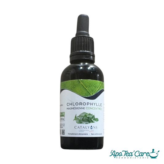 Chlorophylle liquide 50 ml compte-gouttes – Laboratoire Catalyons – L'ApoTea'Care