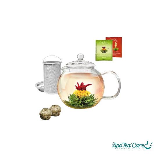 Théière Creano Verre 1L + 2 Thés Blancs & Verts Inclus – Coffret Cadeau L'apoTea'Care Herboristerie