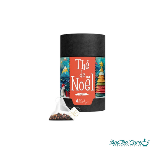 Thé de Noël Bio en tube 80g