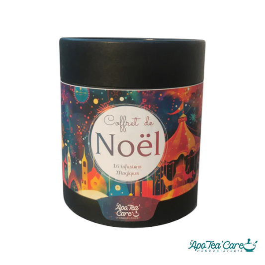 Coffret Noel Bio en tube 16 infusettes