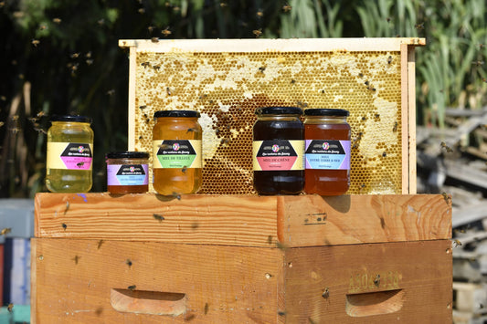 Coffret Miel Sélection