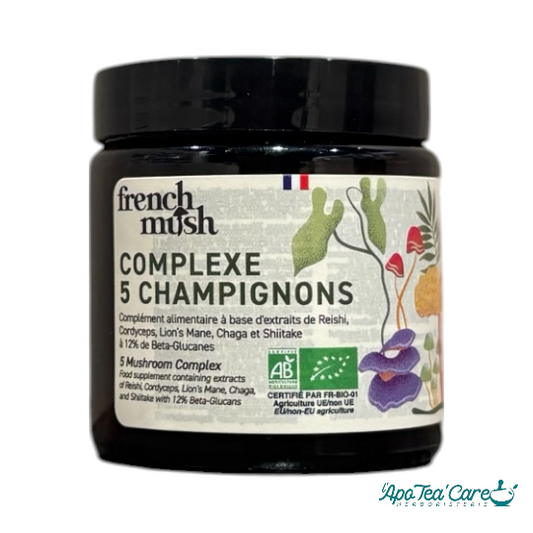 Complexe 5 Champignons en Poudre