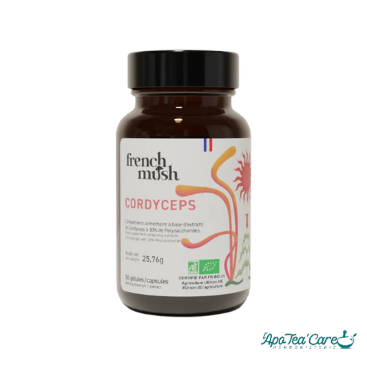 Gélules Cordyceps