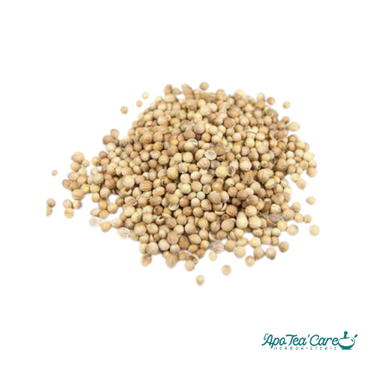 Coriandre Fruit France