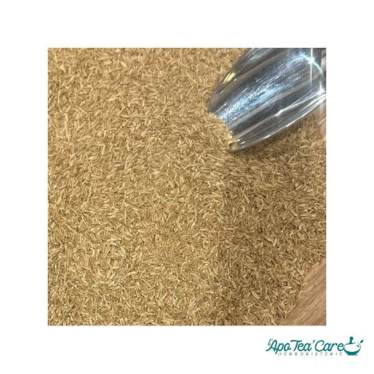 Cumin Fruit - Digestion & Confort Intestinal