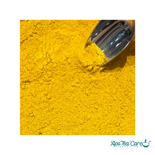 Curry des Indes Extra Poudre - Mélange d'Épices Authentique