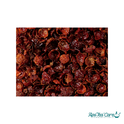 Cynorrhodon Baie Entière - Vitamine C & Immunité