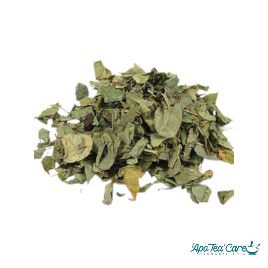 Desmodium Feuille Coupée