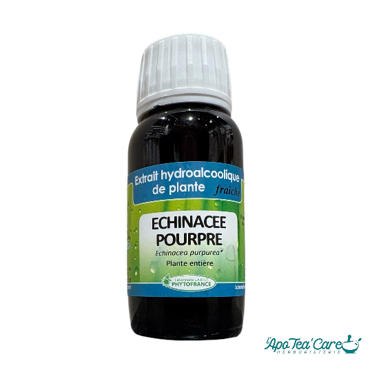 Extrait hydroalcoolique Echinacea purpurea bio 60ml PhytoFrance – échinacée pourpre plante hivernale confort saisonnier L'ApoTea'Care