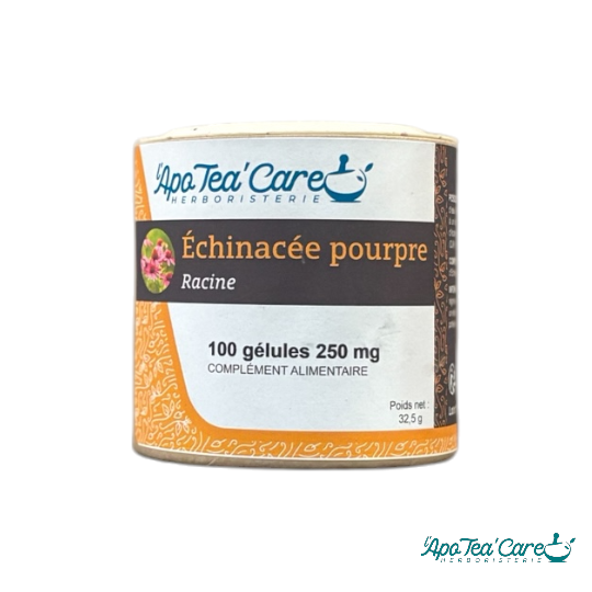 Echinacéa pourpre racine 100 gelules 250 mg