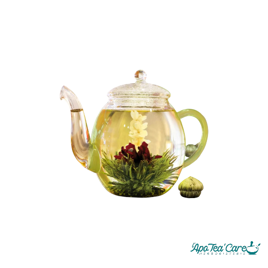 Coffret 6 Tisanes Eclosion de Fleurs