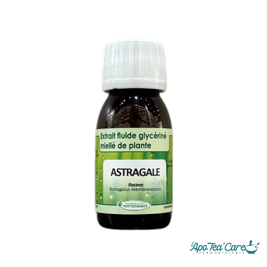 Extrait Fluide Astragale Bio 60ml - Vitalité Immunité PhytoFrance