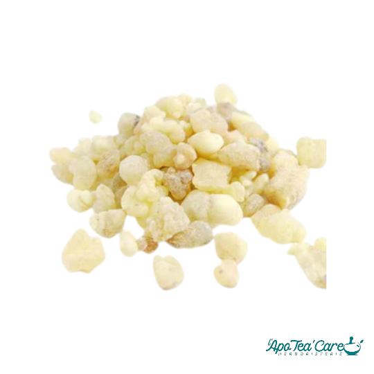 Encens Carterii en Larmes