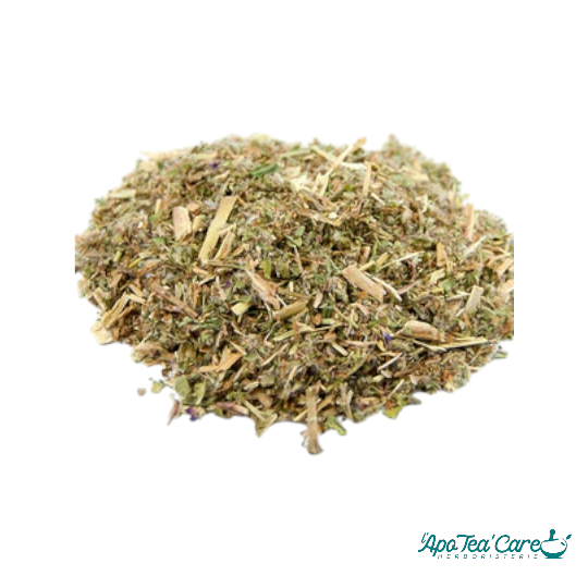 Epilobe Parviflorum Partie Aérienne Coupée