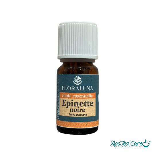 Huile Essentielle Épinette Noire 10ml – Énergie & Vitalité Floraluna - L'ApoTea'Care
