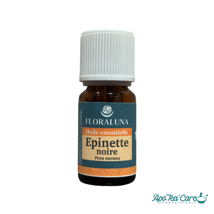 Huile Essentielle Épinette Noire 10ml – Énergie & Vitalité Floraluna - L'ApoTea'Care