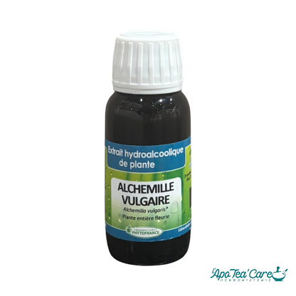 Extrait Hydro Alcoolique ALCHEMILLE VULGAIRE 60ml Phytofrance
