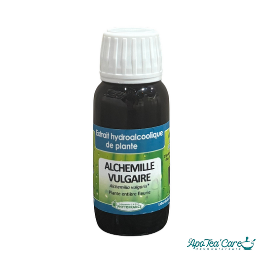 Extrait Hydro Alcoolique ALCHEMILLE VULGAIRE 60ml Phytofrance