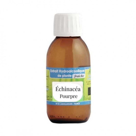 Extrait Hydro Alcoolique Echinacea Purpurea BIO 60ml