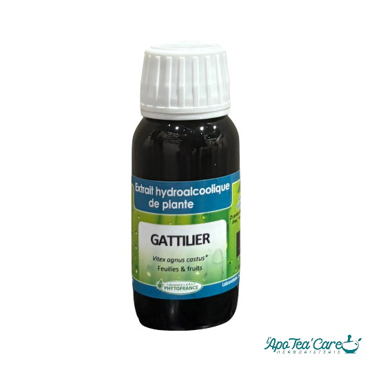 Extrait Hydro Alcoolique Gattilier Vitex Agnus Castus BIO 60ml Phytofrance