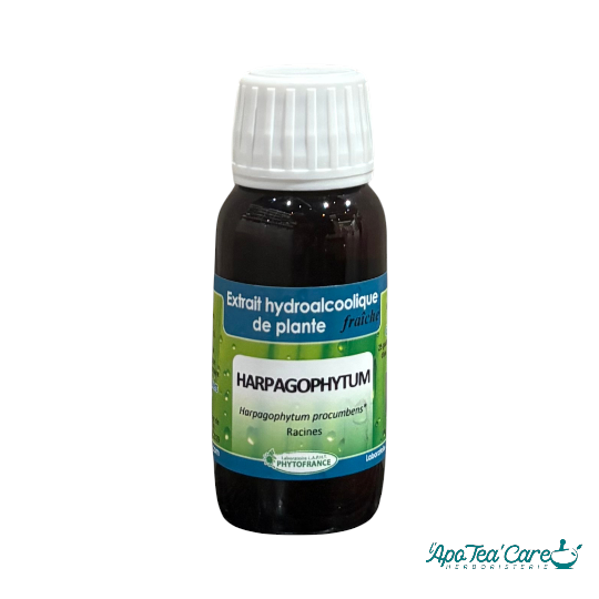 Extrait Hydro Alcoolique d'Harpagophytum BIO 60ml Phytofrance