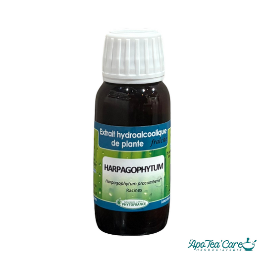 Extrait Hydro Alcoolique d'Harpagophytum BIO 60ml Phytofrance