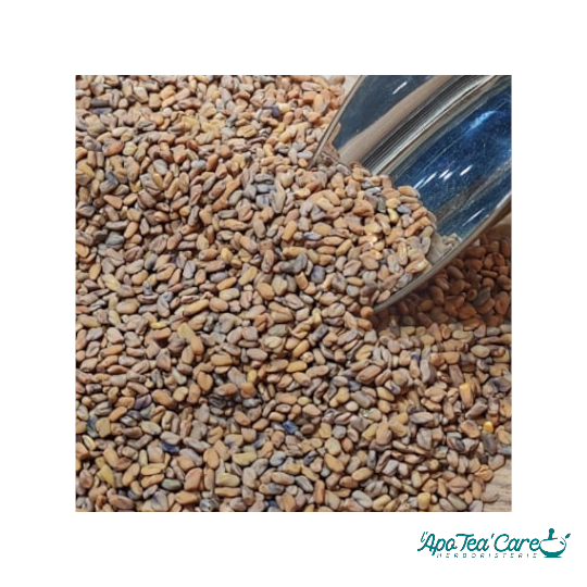 Fenugrec Graine - Digestion, Lactation & Glycémie